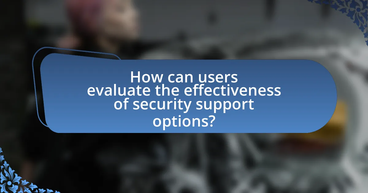 How can users evaluate the effectiveness of security support options?